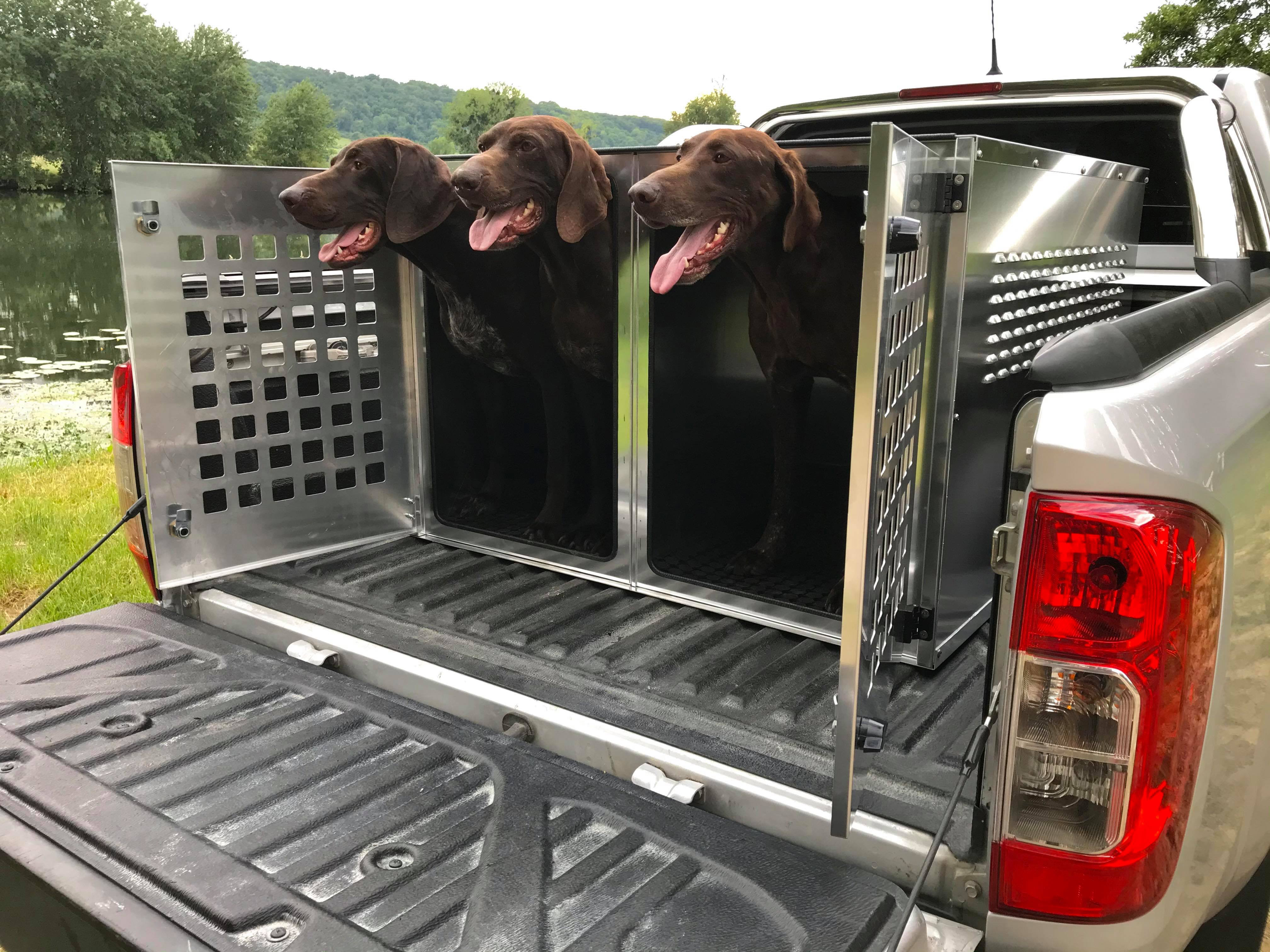 Caisse de transport chien pickup